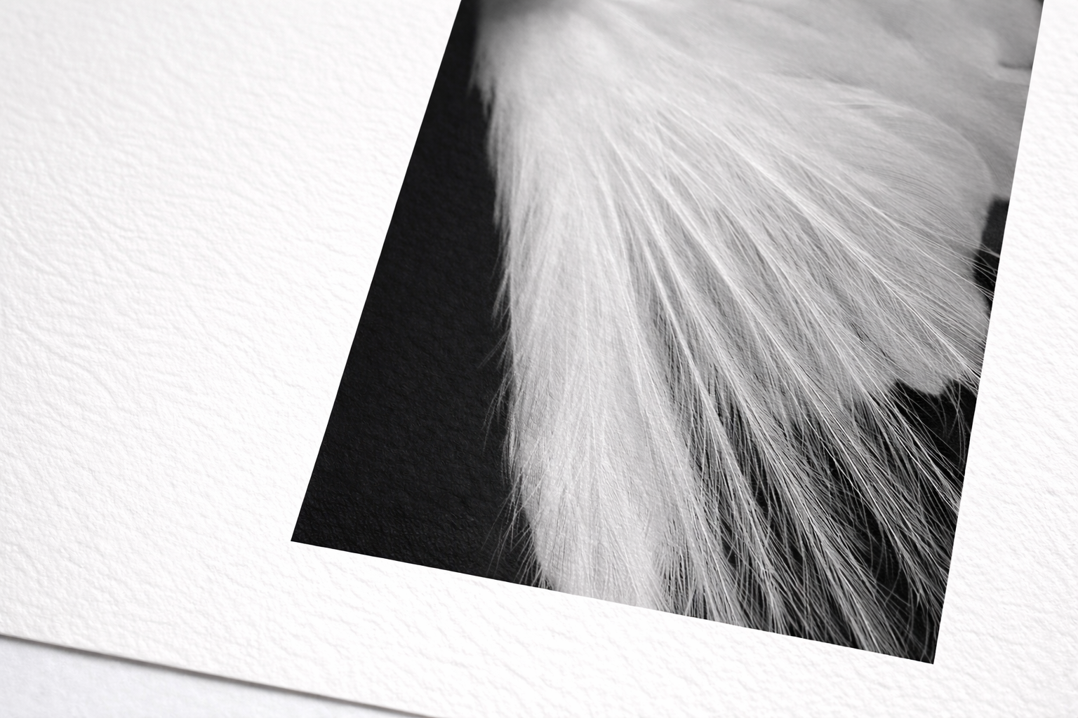 Fine Art print detail on Hahnemühle Photo Rag paper