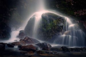 The Descent of Light, Fine Art Print