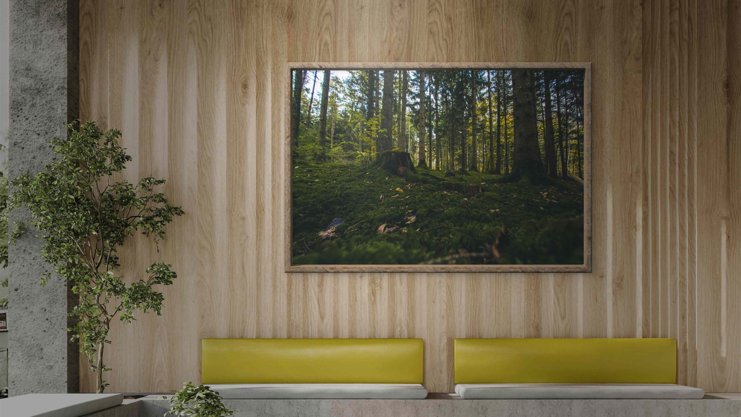 Framed mushroom photograph with a single delicate stem rising from moss on a bright wall in a minimal room with a hanging chair and plant.