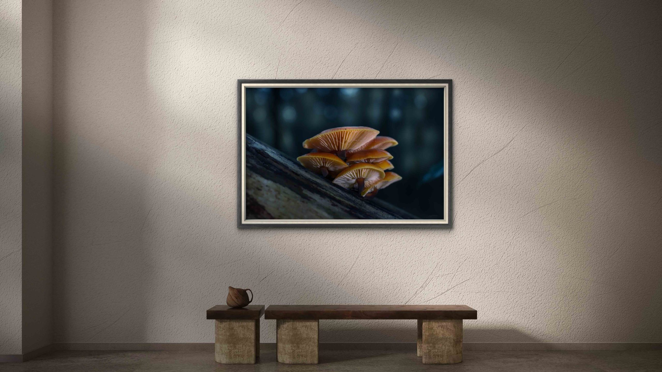 Framed mushroom photograph with a single delicate stem rising from moss on a bright wall in a minimal room with a hanging chair and plant.