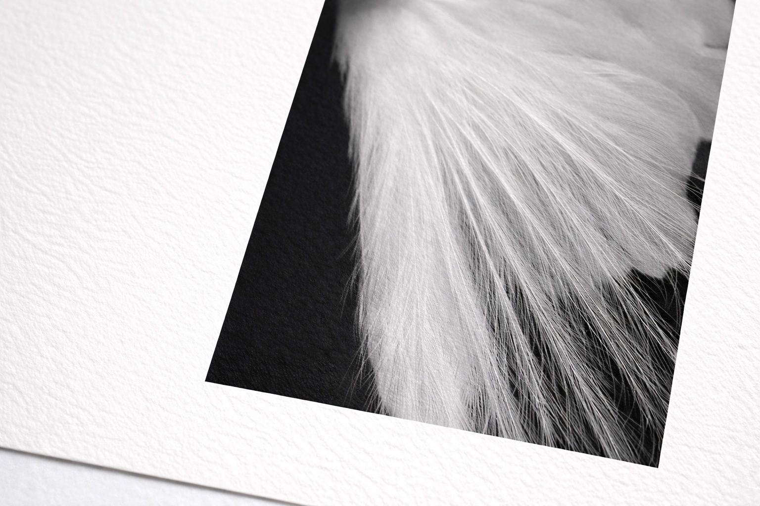 Fine Art print detail on Hahnemühle Photo Rag paper
